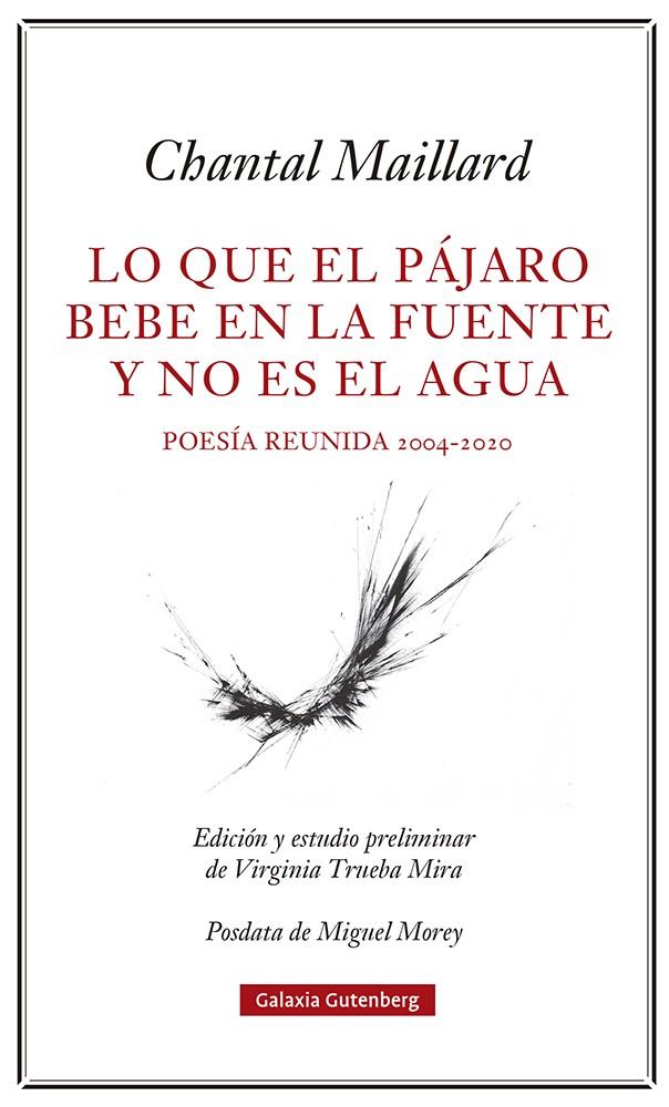 Lo que el pájaro bebe en la fuente y no es el agua | 9788418807633 | Maillard, Chantal